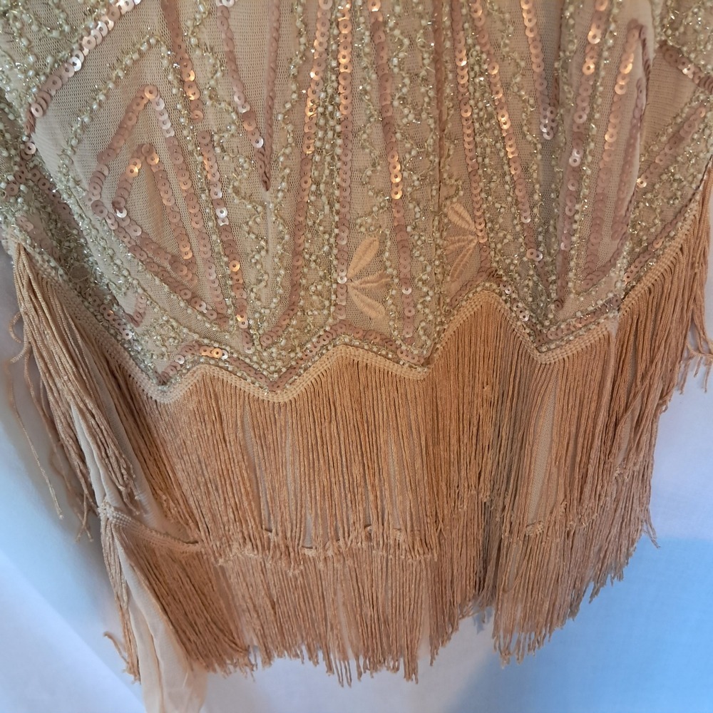 Gold Fringe Flapper Mini Dress - Vintage-Inspired Party Dress - Picture 8 of 9